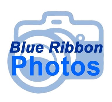 Blue Ribbon Photos, google-site-verification: google545cba6b4d337625.html
